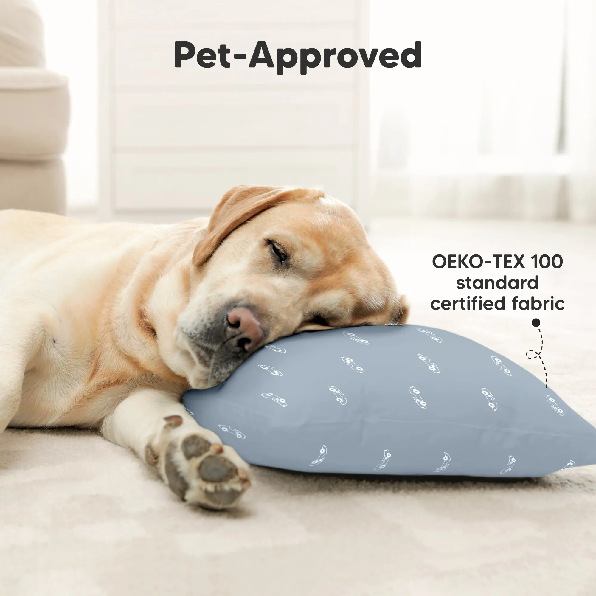 2-Pack Toddler Pillows (Roadsters)
