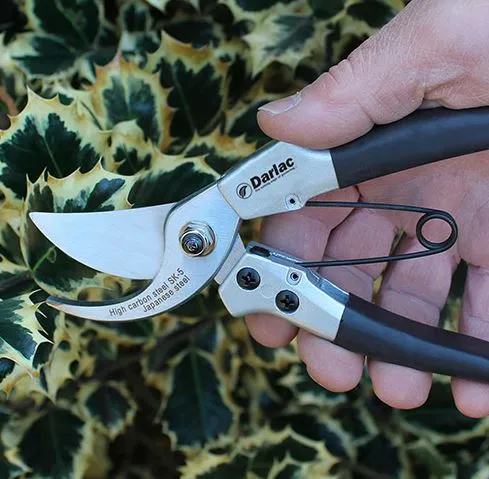 Darlac DP41 Compact Plus Pruner